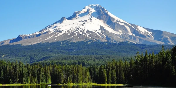 Oregon Trail Recovery